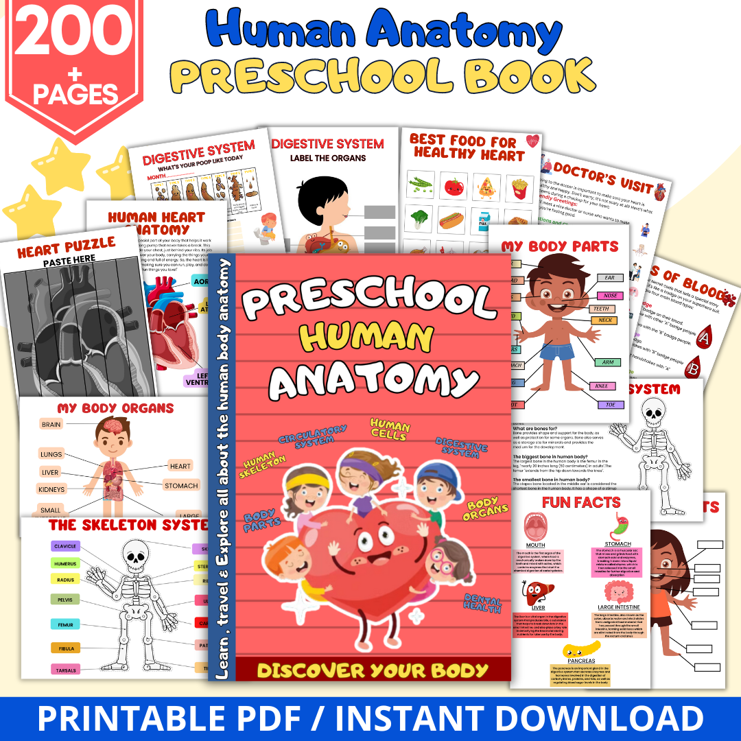 Bundle Preschool Human Anatomy + Education Learning + Volcano Study