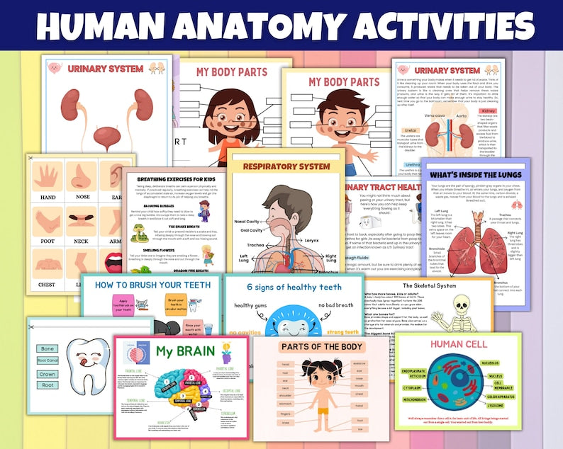 Complete PreSchool Learning Bundle | 4000+ PAGES