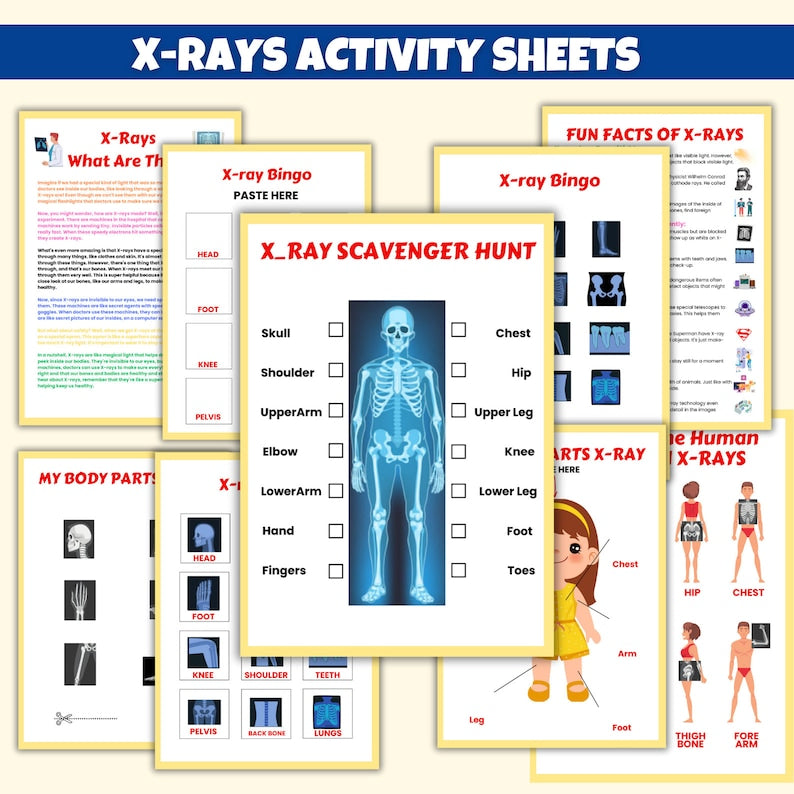 Human Anatomy Preschool Book | 200+ Worksheets for kids