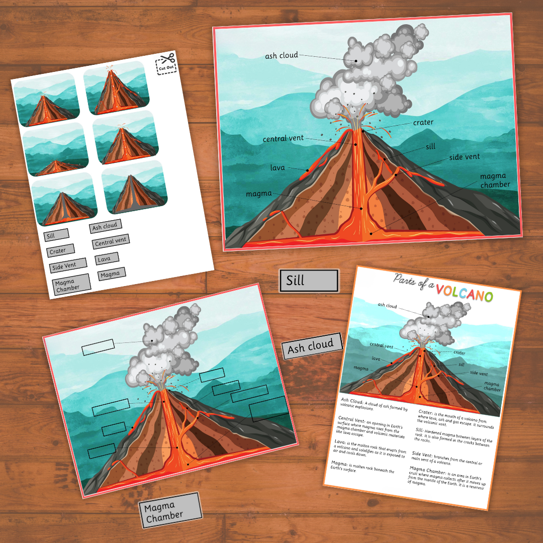 Bundle Preschool Human Anatomy + Education Learning + Volcano Study