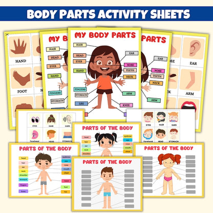 Human Anatomy Preschool Book | 200+ Worksheets (FREE TODAY)