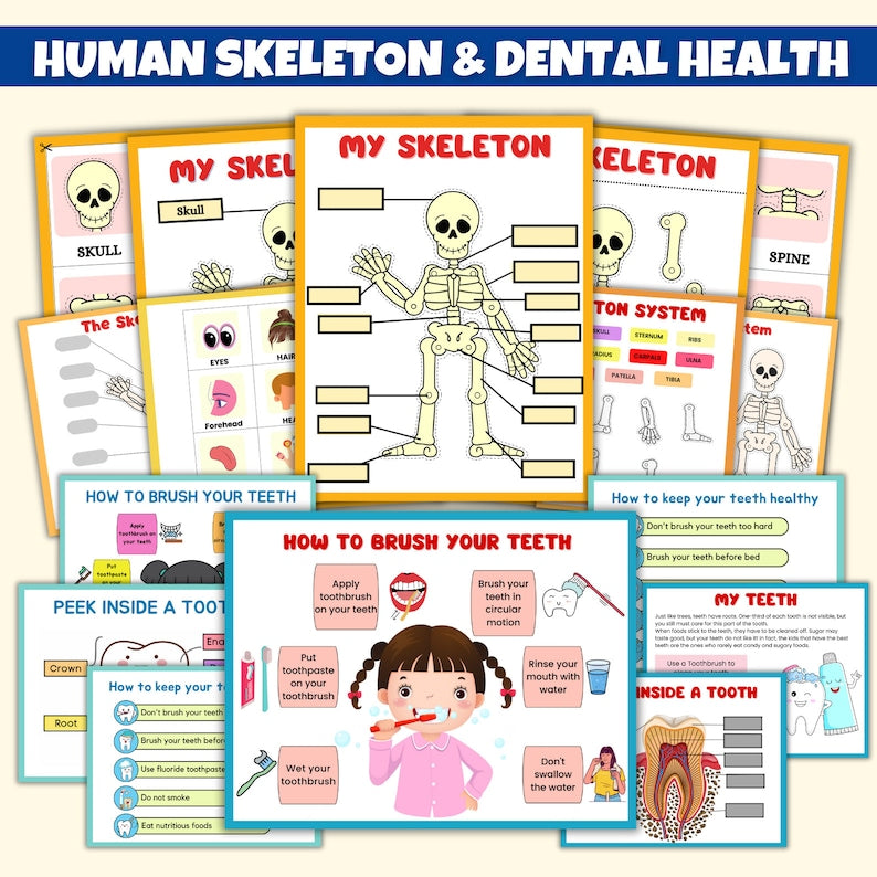 Human Anatomy Preschool Book | 200+ Worksheets (FREE TODAY)