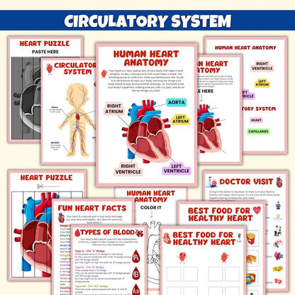 Human Anatomy Preschool Book | 200+ Worksheets for kids