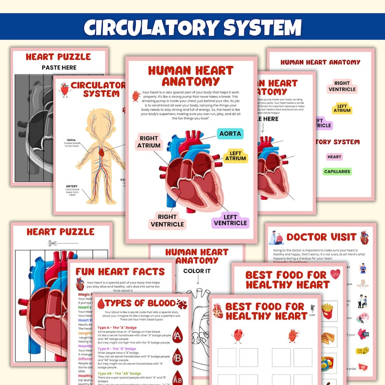 Bundle Preschool Human Anatomy + Education Learning + Volcano Study