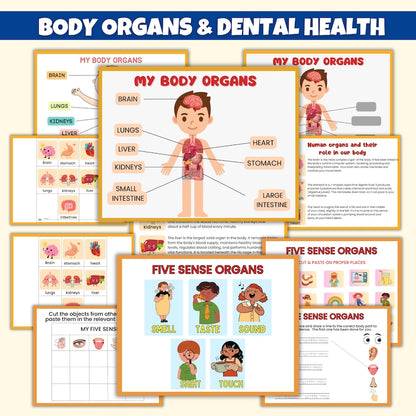 Human Anatomy Preschool Book | 200+ Worksheets for kids